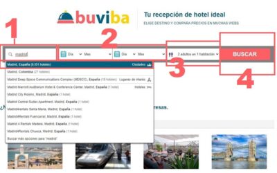 Hoteles que admiten mascotas dónde y cómo conseguirlos ¡facilísimo!