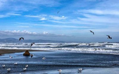 Torremolinos 4 estrellas todo incluido a 2 km centro ¡desde 209€ media!